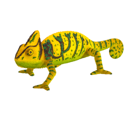 Mojo Animal Planet Chameleón
